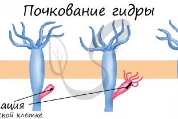 Оригинальный сайт кракен