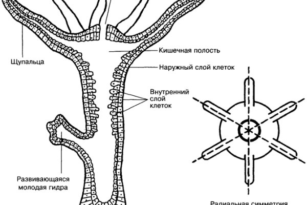 Кракен настоящий сайт